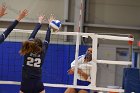 Volleyball vs RWU  Wheaton Women’s Volleyball vs Roger Williams University. : Volleyball, VB